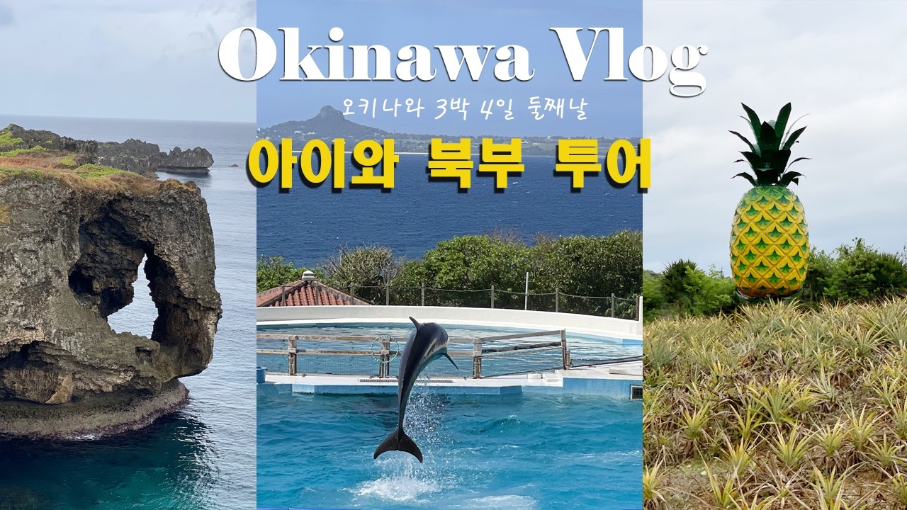 아이와 오키나와 북부 투어 일정, 만좌모 / 츄라우미 수족관 돌고래쇼🐬🐬 / 나고 파인애플 파크🍍 / 인생 스테이크 플리퍼까지🥩