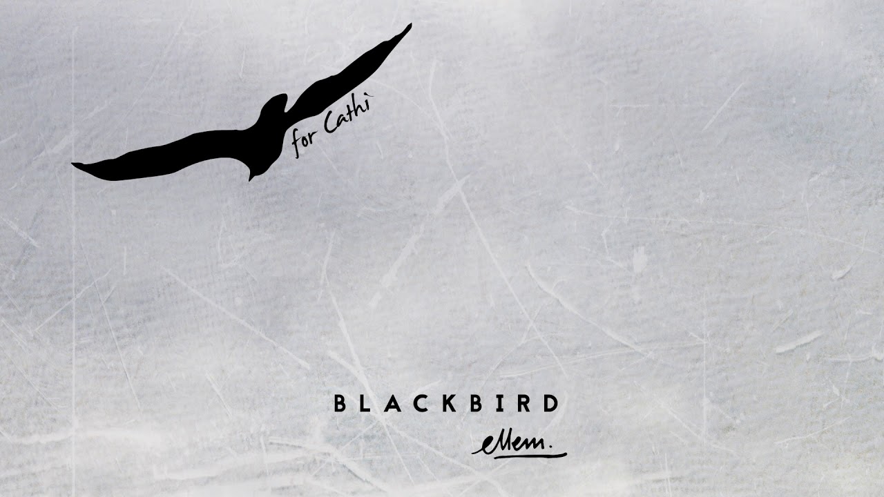 Ellem - 'Blackbird' Cover (Audio)