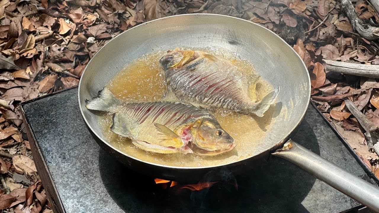 PESCARIA E PIRANHA FRITA NA BEIRA DO RIO, JA FEZ ASSIM?