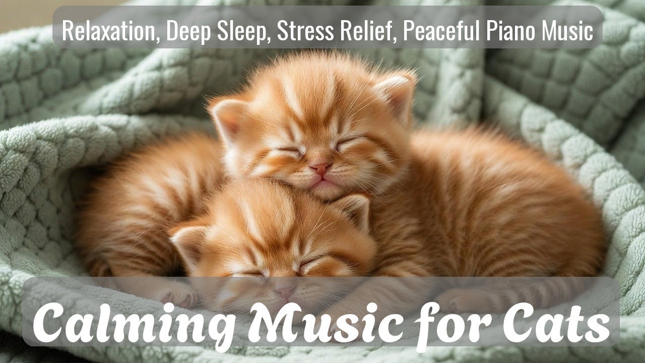 Calming Music for Cats - Relaxation, Deep Sleep, Stress Relief, Peaceful Piano Music | Season 23
