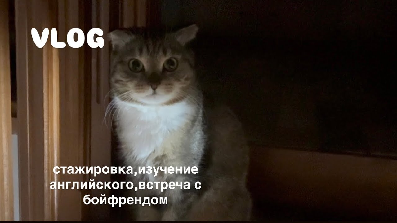 VLOG: тихий влог от кореянки, без слов. #стажировка #работа #studytime 