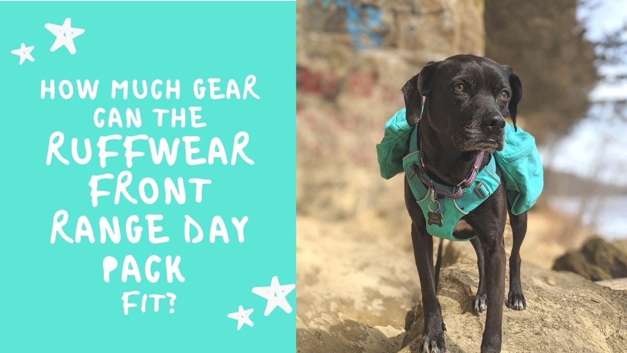 How much gear can Ruffwear's Front Range Day Pack hold?