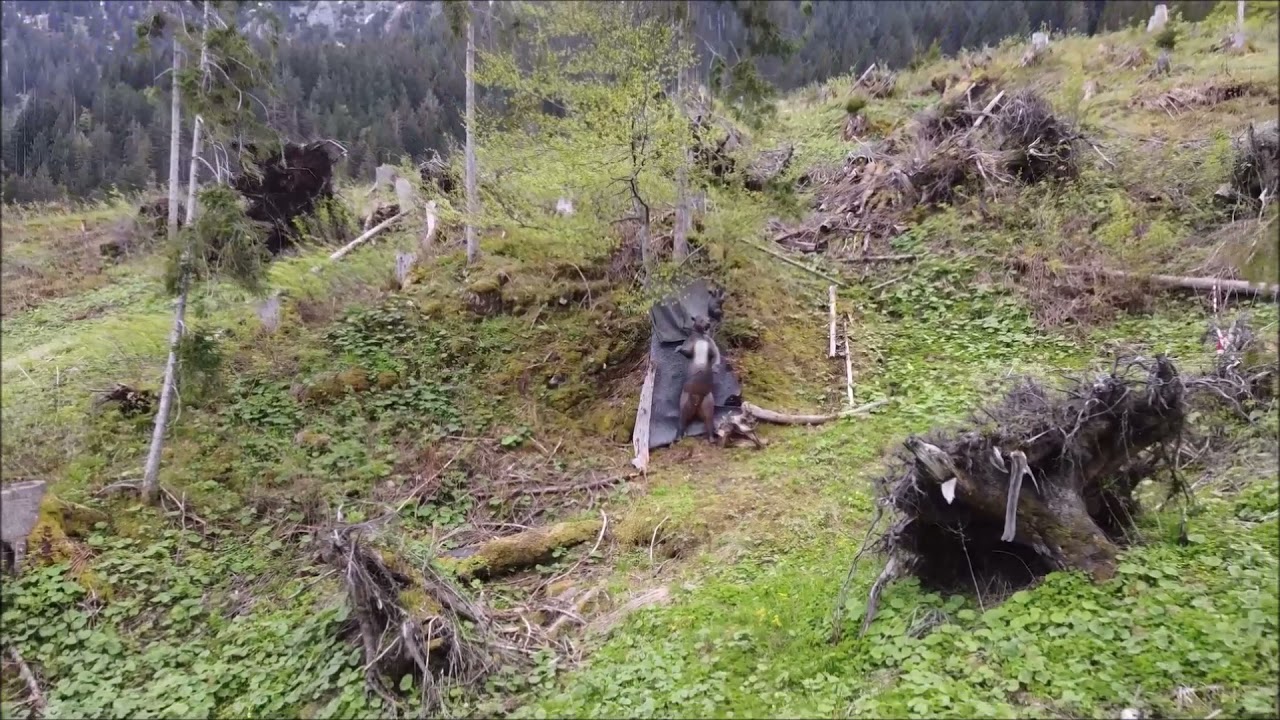 Lust auf Bogenschie&szlig;en? Ammer-Bow Bogenparcours am Kolbensattel in Oberammergau