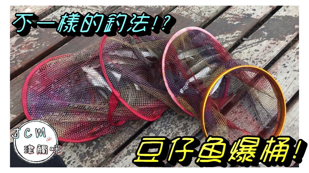 【釣魚津觸咪】30元の萬能餌，釣爽爽!? #V特 #津觸咪 #中部釣魚 #豆仔魚