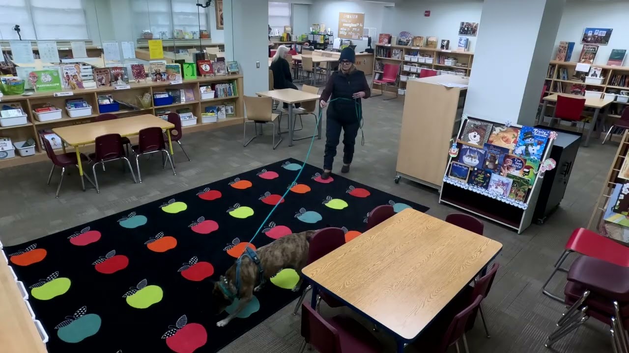 New Rochelle ELT- 12/29/25- Library Search
