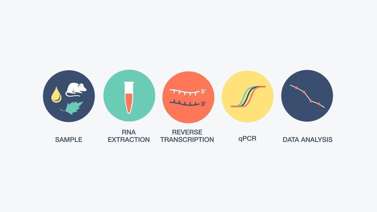 Overcoming RT-qPCR Challenges
