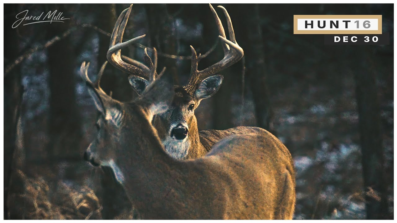 What Late Season Dreams Are Made Of, An Incredible Bowhunt