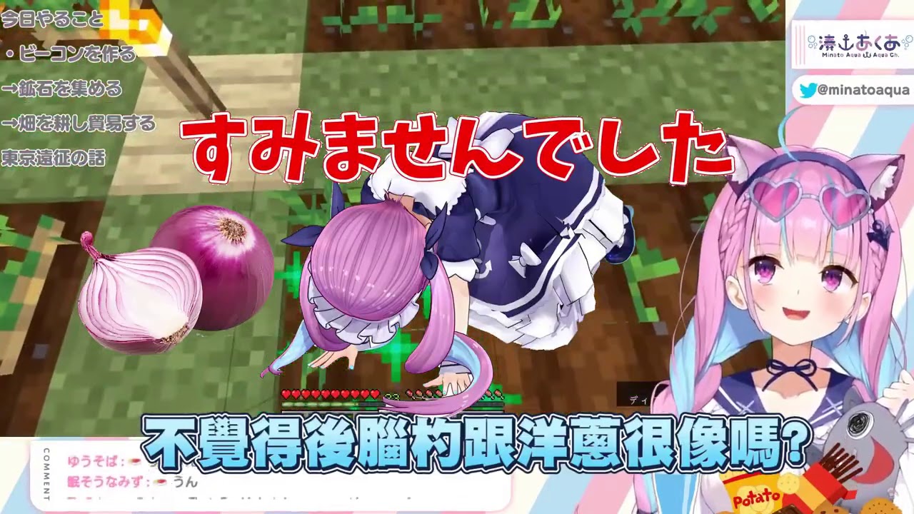 【湊あくあ/ホロライブ】湊阿夸被叫洋蔥的由來【Vtuber翻譯】