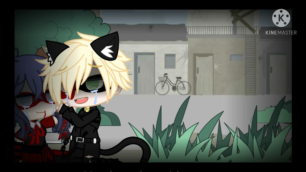 Dead Ladybug AU😭