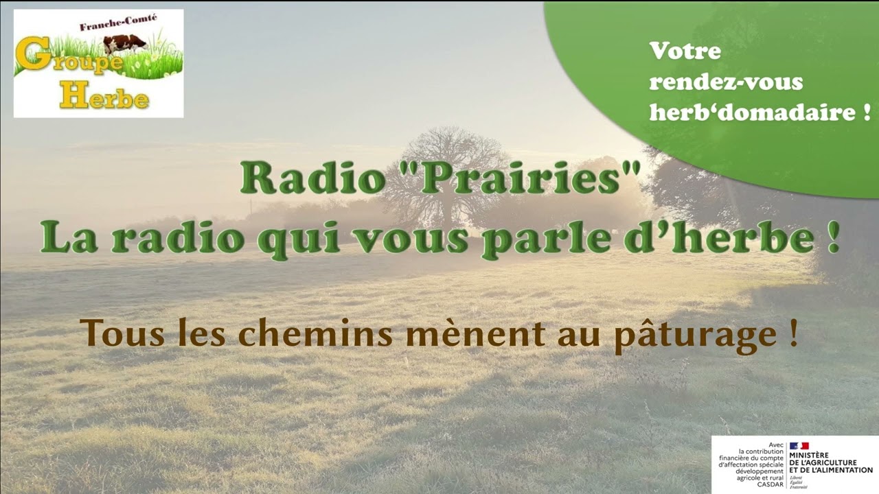 Radio prairies - Saison 2 - Episode 13 - Tous les chemins mènent au pâturage !