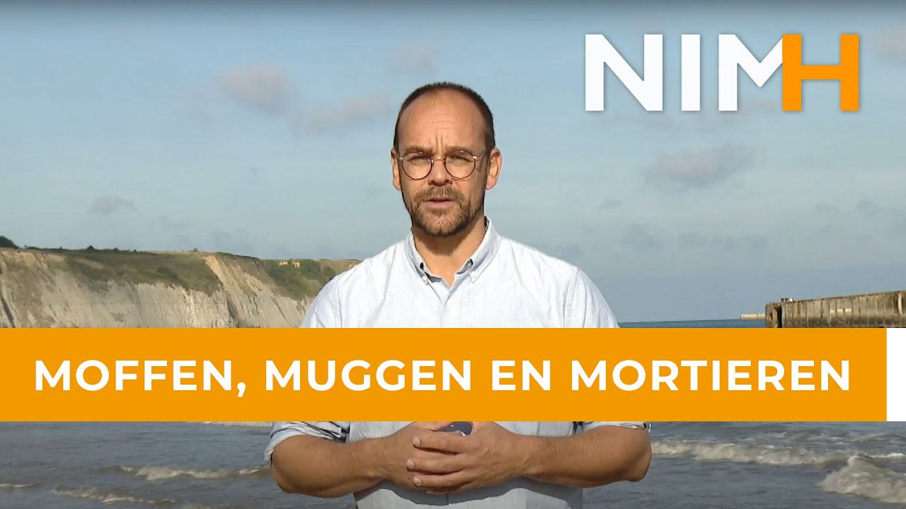 Moffen, muggen en mortieren