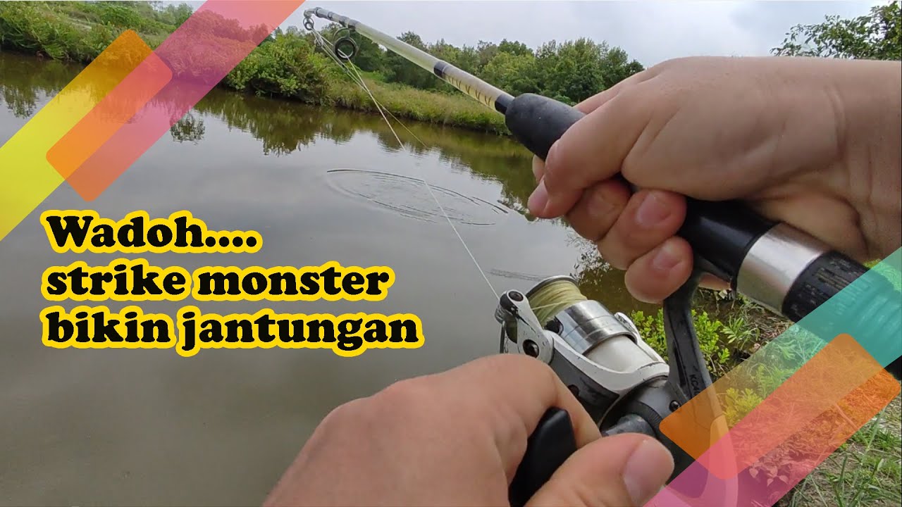 Mancing di Seruwei-Belawan, kolam buatan, isinya ikan liar (Mantap) |21 Februari 2022