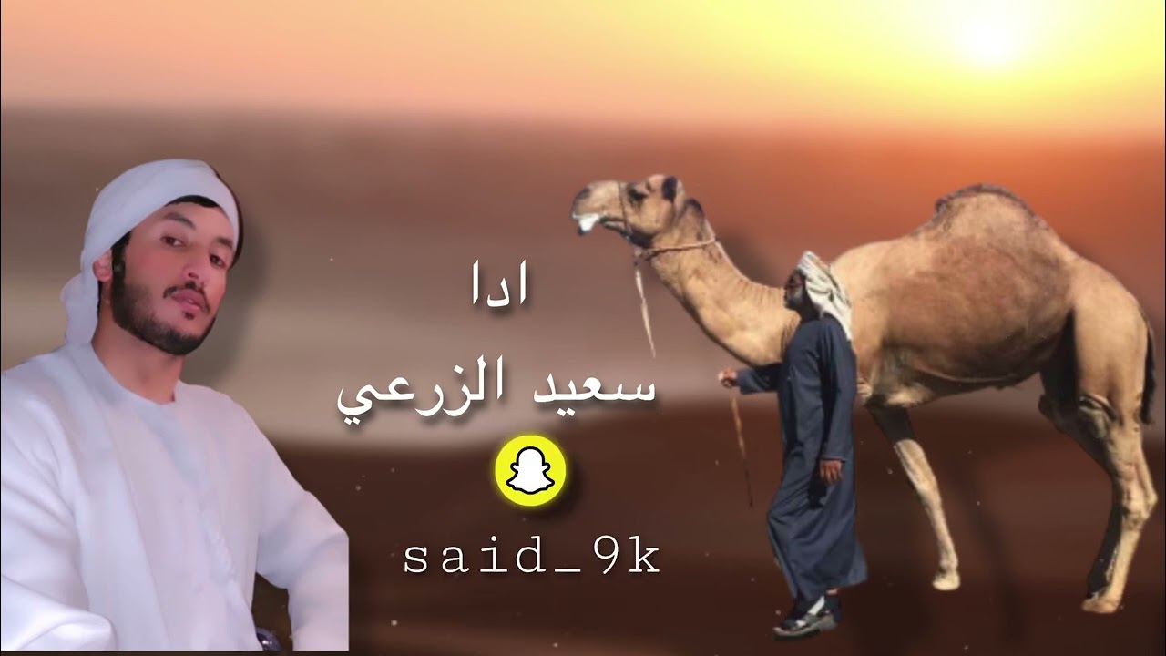 #سعيد الزرعي # شلات #