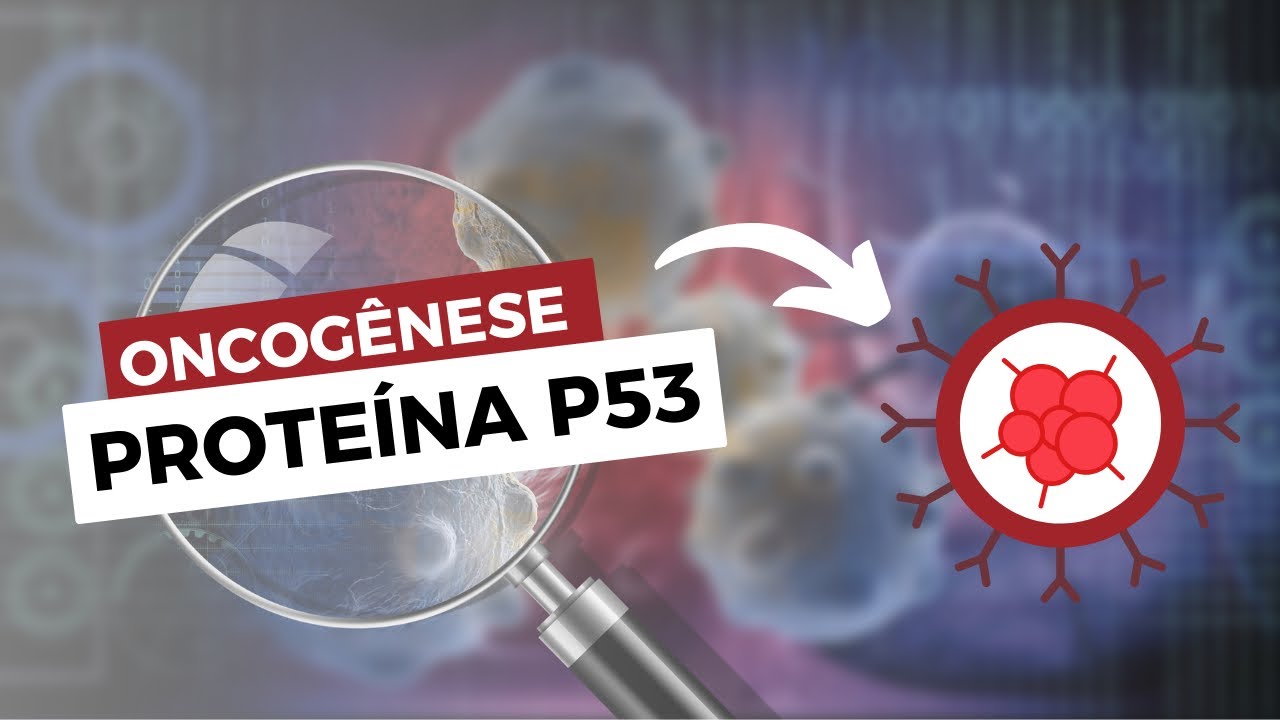 A proteína P53 e o CÂNCER | Animação
