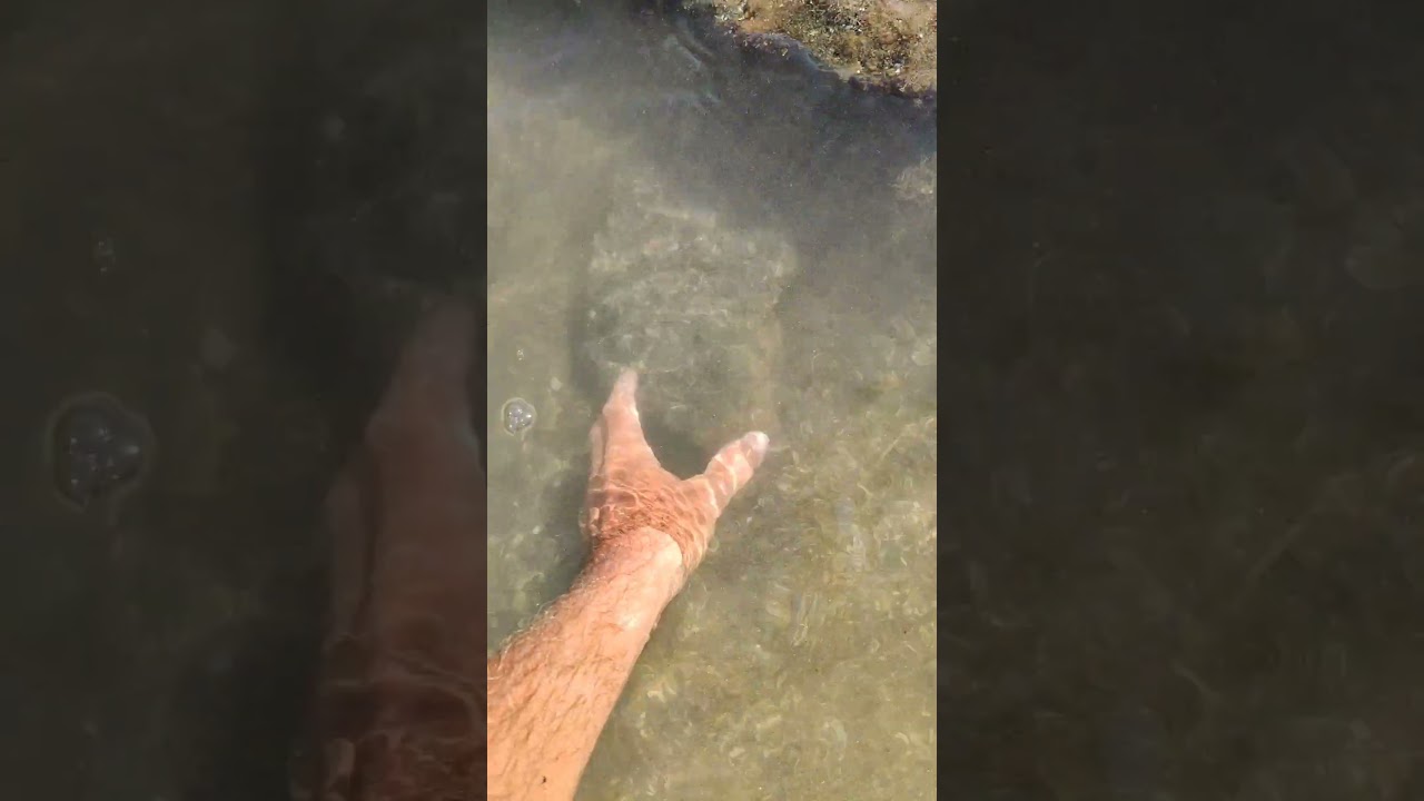 Come fare l'ARENICOLA #arenicola #pesca #surfcasting #orata #fishing