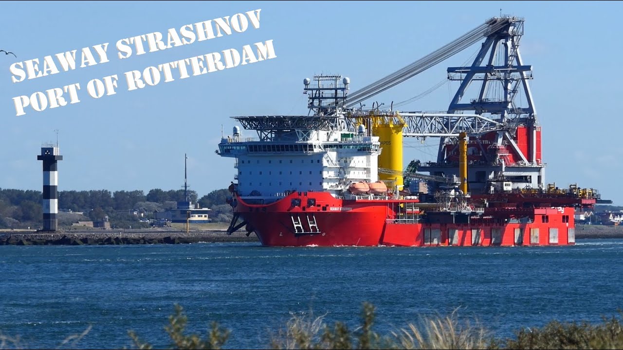 SHIPSPOTTING 2023 - Arrival and Departure compilation of ships