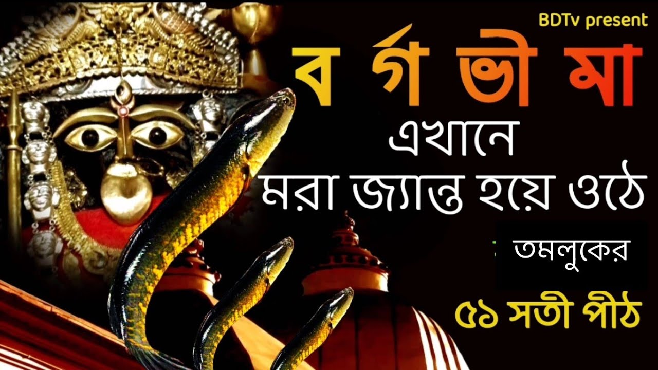 বর্গভীমা মন্দিরের অলৌকিক কাহিনী।। Kapalini Bhimarupa Shaktipeeth Maa Bargabhima Temple