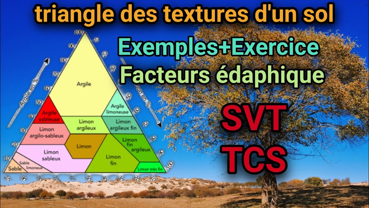 Le triangle des textures/déterminer la texture d'un sol.(Correction de Exercice 5)