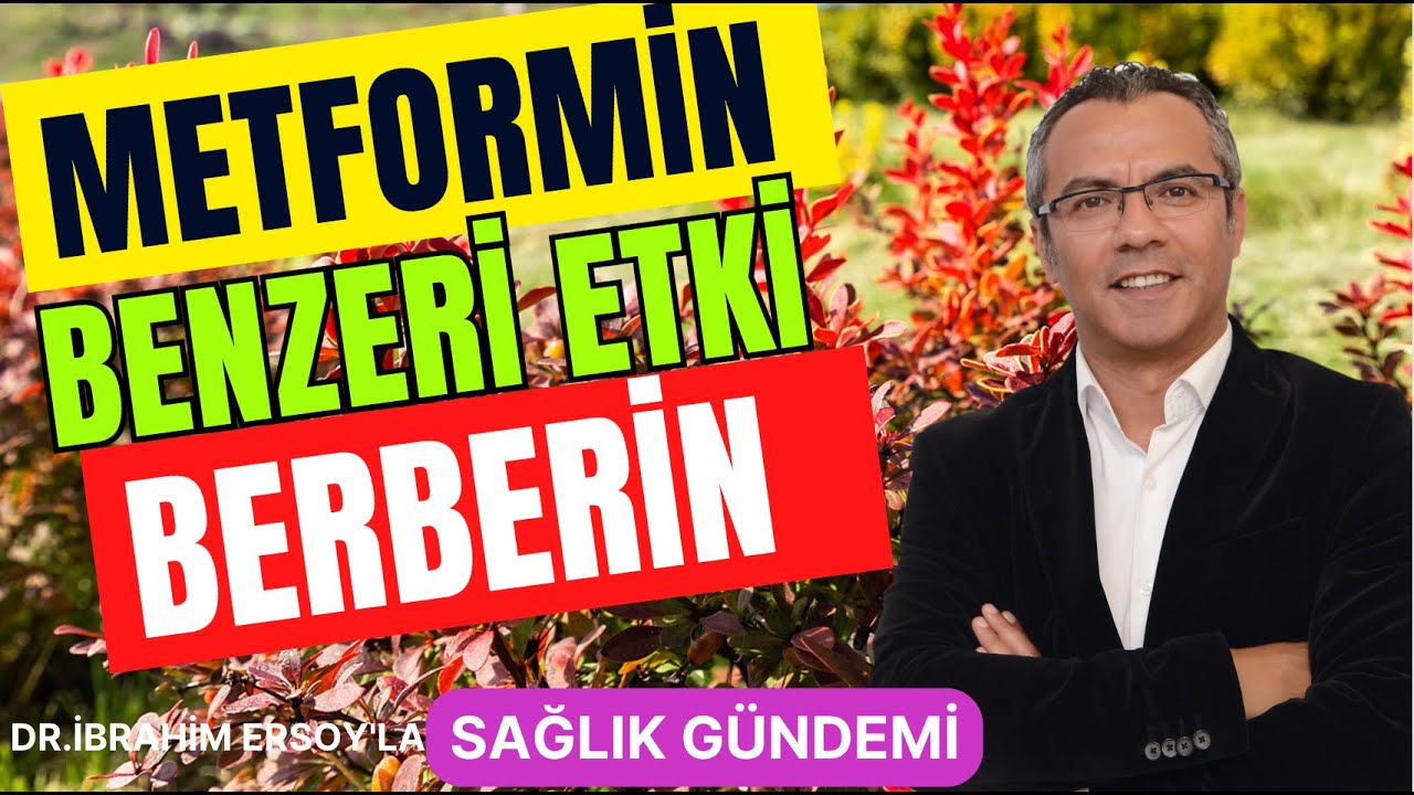 Metformin Benzeri Etki: BERBERİN