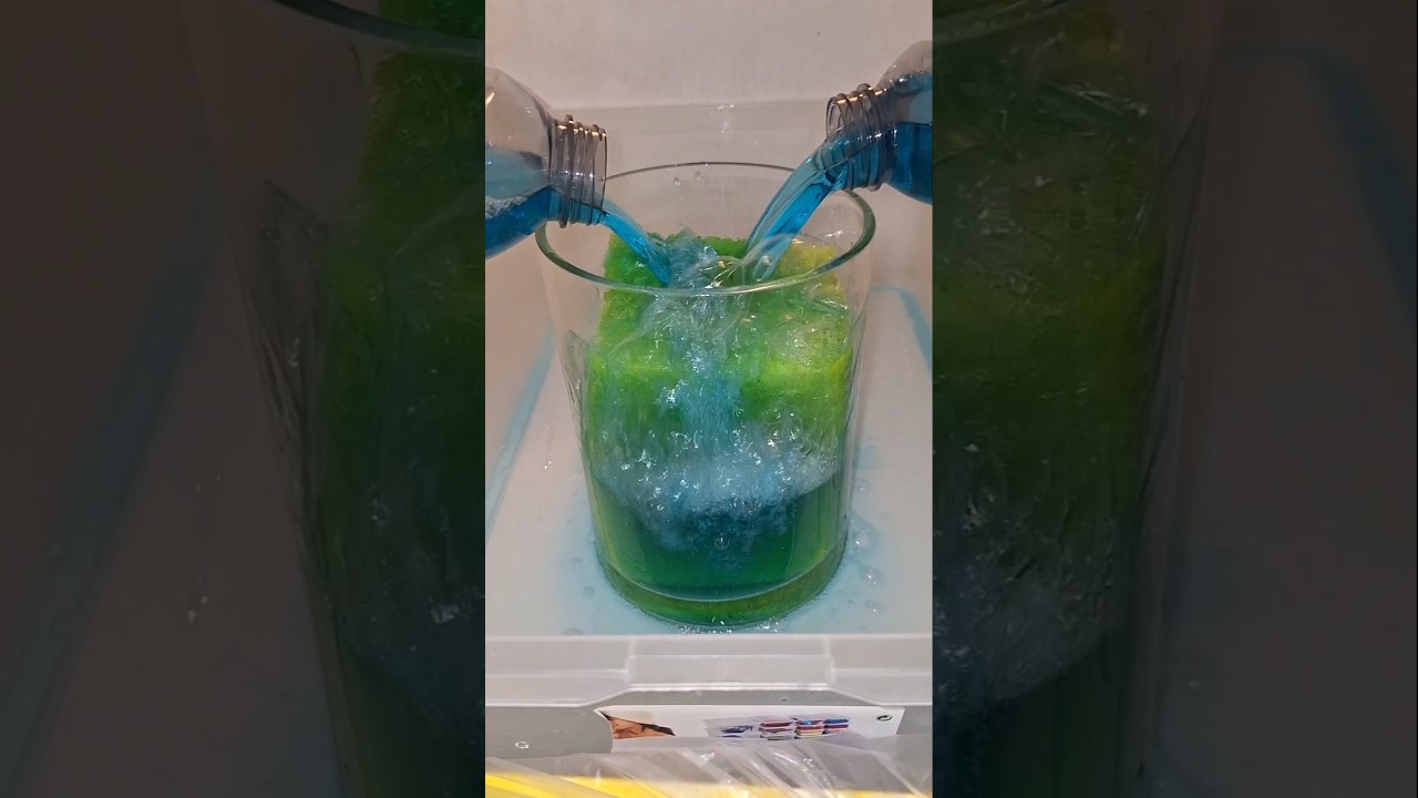 ASMR Sponge squeezing. Full video🔝 Favourite sponge week Day 1/7 Ajax Eucalyptus squeezes