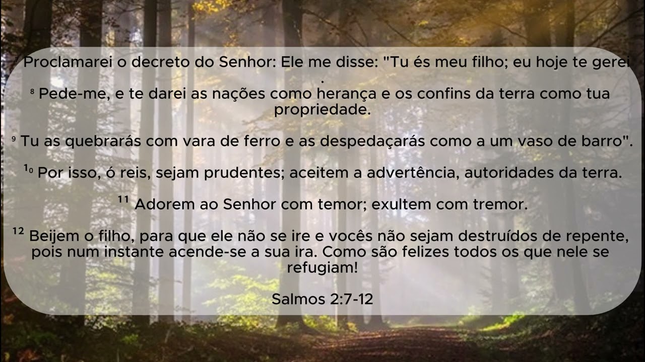Salmos 1 até 5 - Bíblia em Áudio | Versão NVI