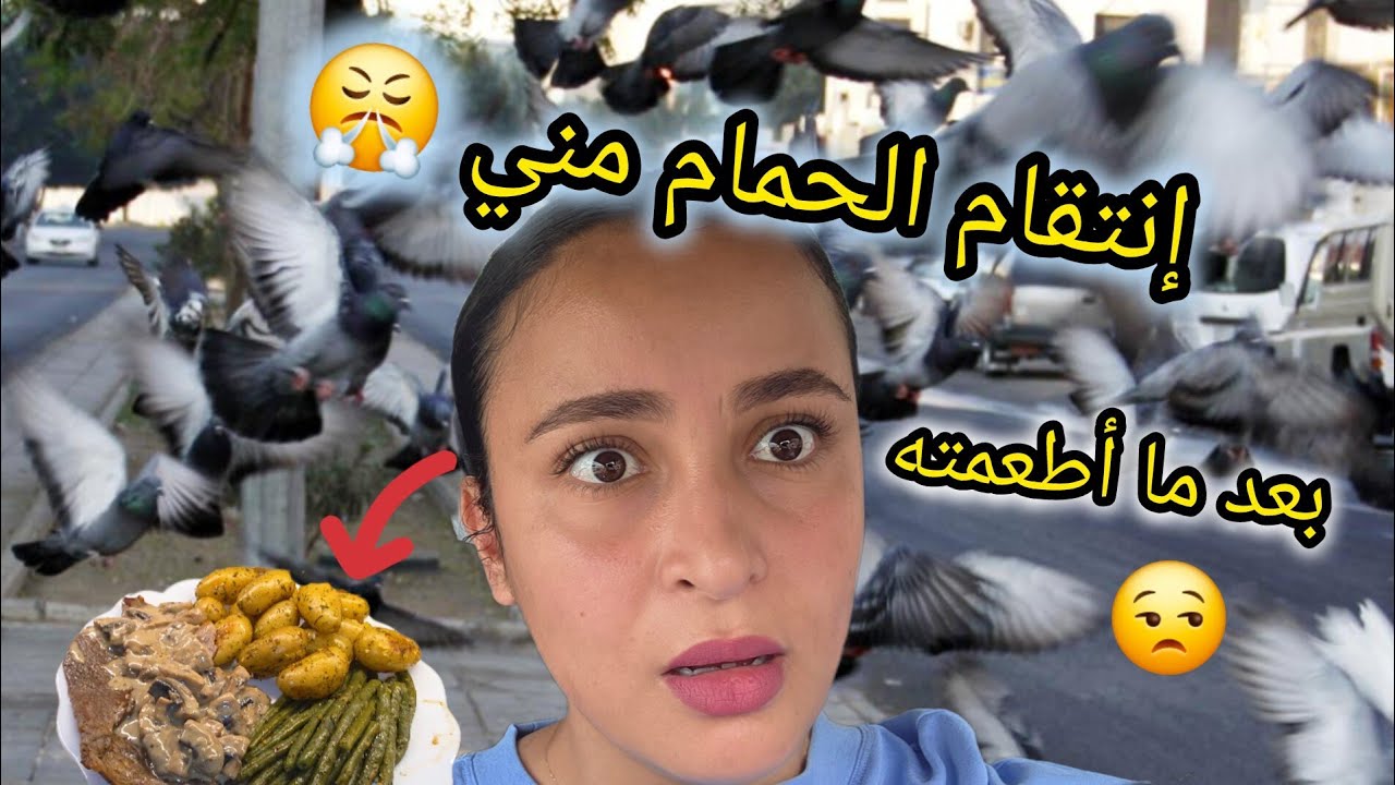  إنتقام الحمام مني بعد ما أطعمتو 😒 وصفة ما قبل رمضان 😋 تنضيف لاتيراس قبل رمضان 🌛