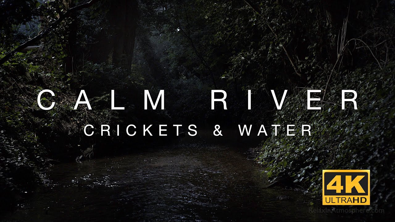 4K Calm River - 3 Hours of water flowing & crickets chirping - relaxing sleep sounds & ambience