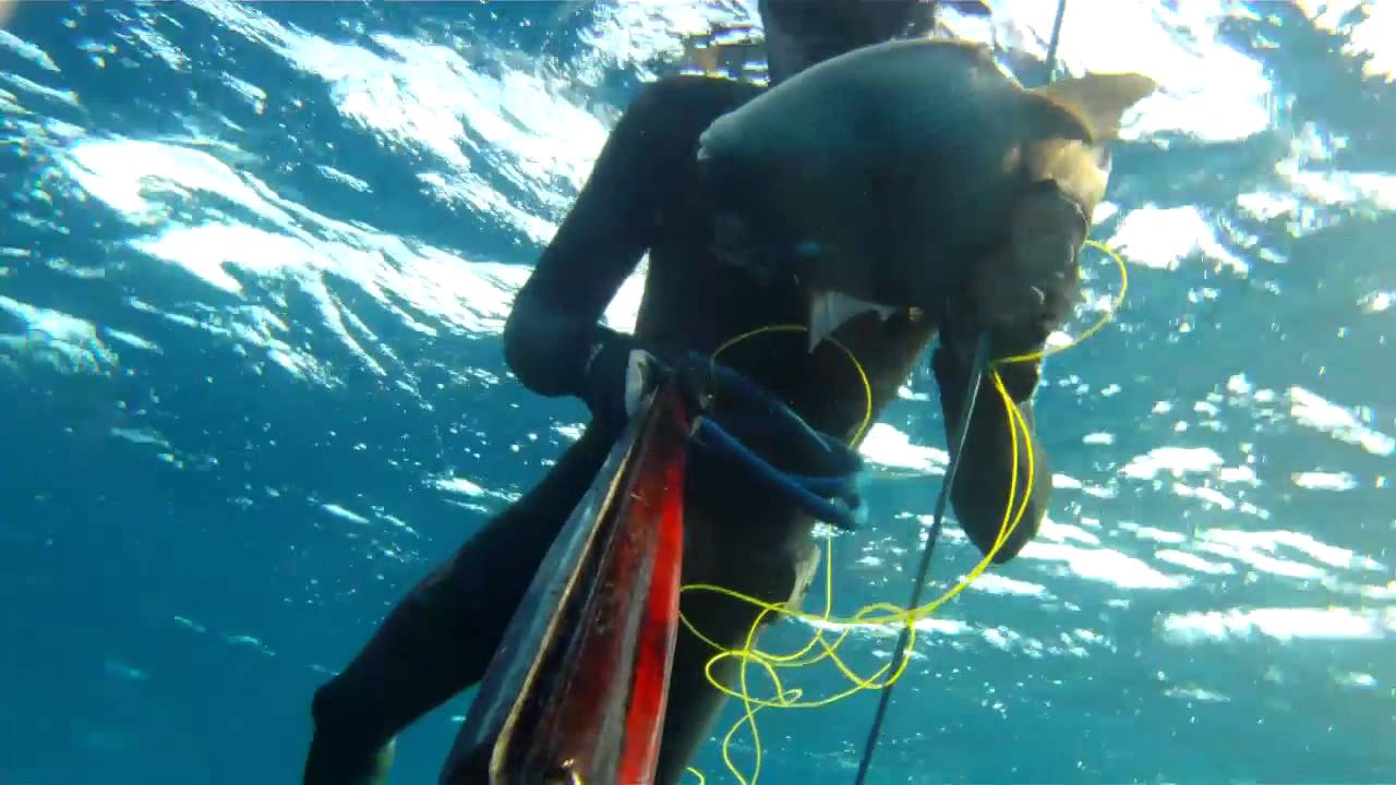 TEST DE ROLLERS DE LOS HERMANOS LARUMBE & MIGUEL &Aacute;NGEL FALC&Oacute;N