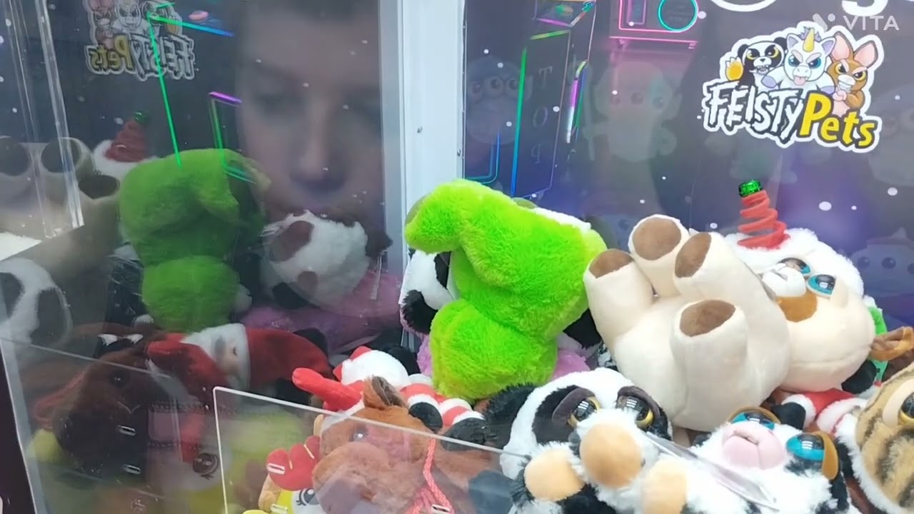 O Garra Planet Parte 2 - Feisty Sapo