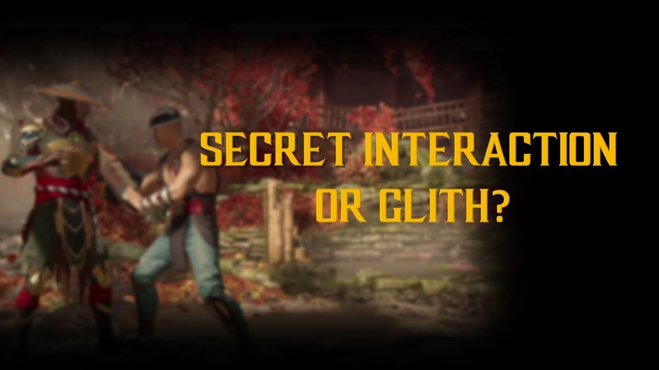 MK11 - Secret Interaction or Glitch? (By GetGosu/T7G/ETC Mcfly)