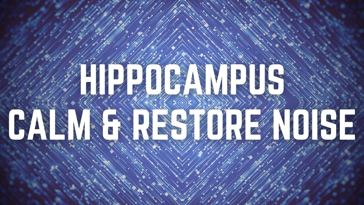 HIPPOCAMPUS CALM AND RESTORE NOISE | 12 Hours | Black Screen | No Midway Ads | Relax/ Sleep/ Focus
