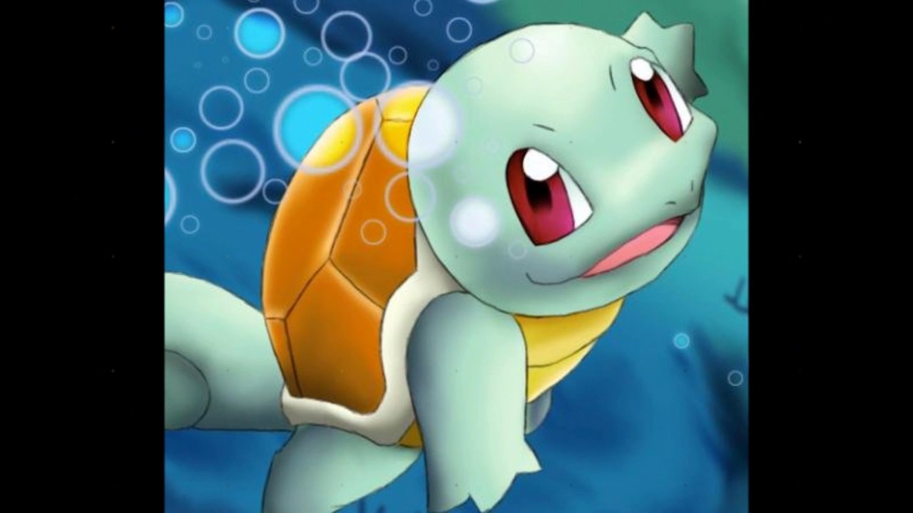 Pokemon Squirtle and Evolution line-  Life After You