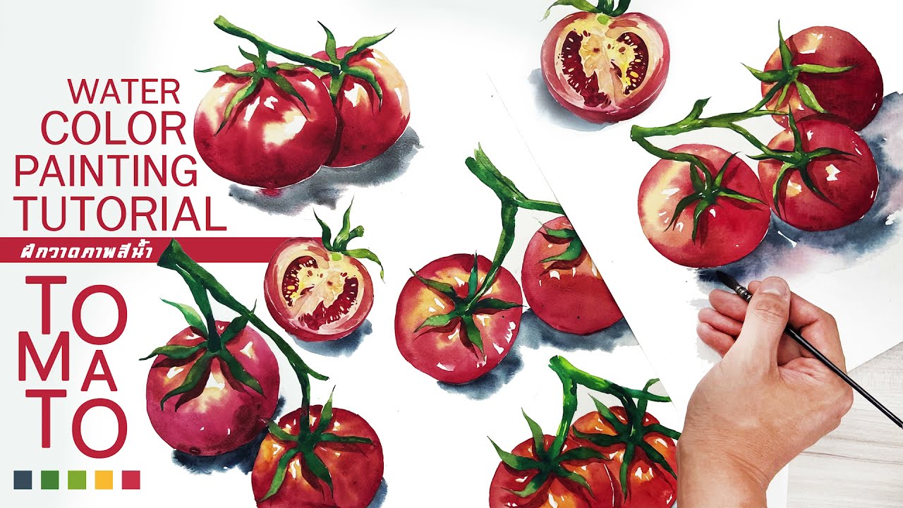Watercolor Painting Tutorial : ฝึกวาดสีน้ำ มะเขือเทศ