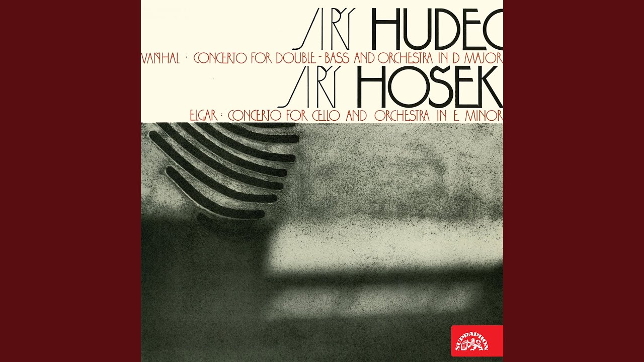 Concerto in D major for Double Bass and Orchestra - Allegro moderato