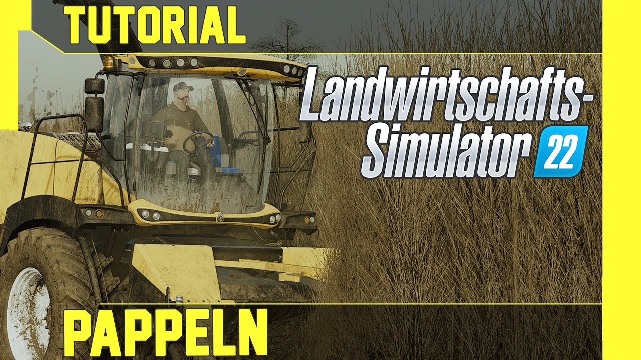 LS 22 & 25 Pappeln Tutorial: Kurz, einfach und verständlich erklärt