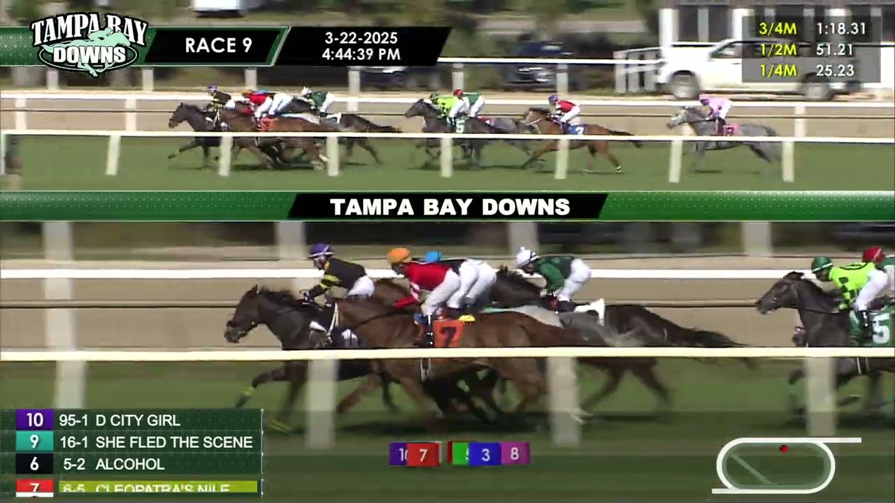 March 22, 2025   Race 9
