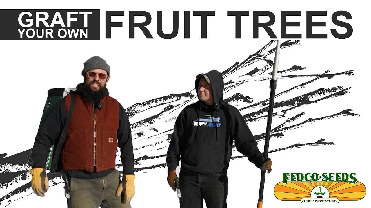 Graft Your Own Fruit Trees! Scion Harvesting with Laura and Jacob