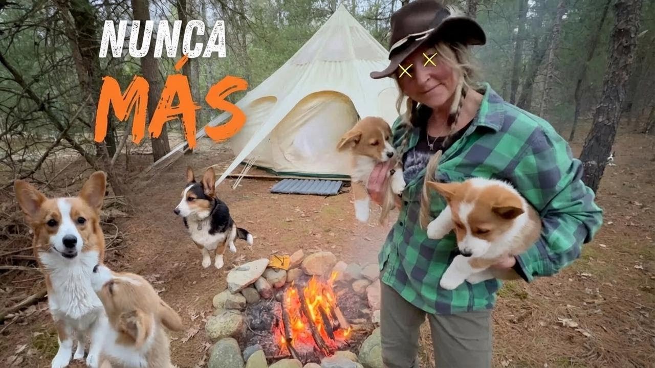 Acampando con 5 corgis. ¡Fue una locura!