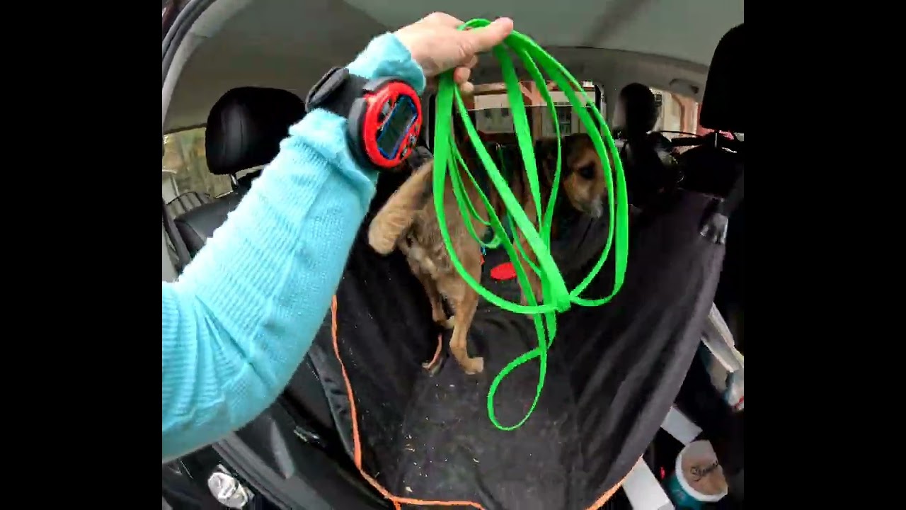 L2V - Search 4 - Easton MD