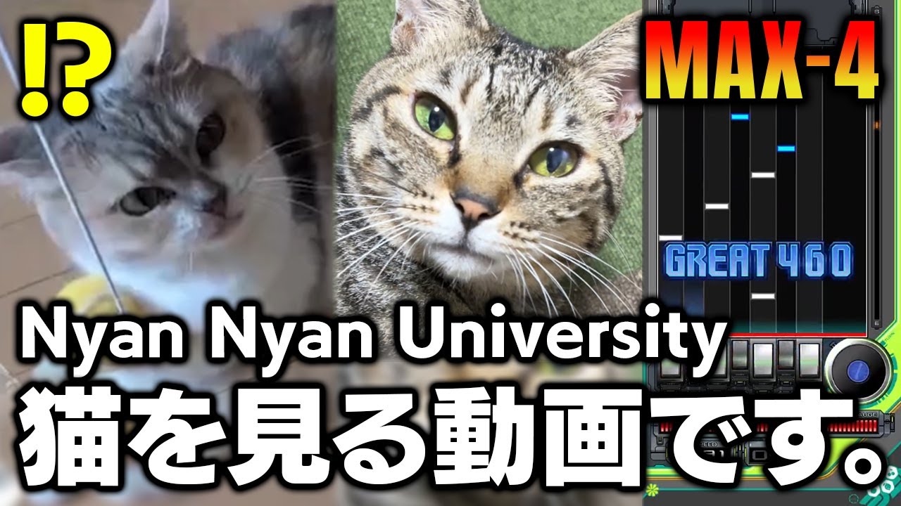 猫でも見ろ「Nyan Nyan University / Aice room」MAX-4【音ゲー, beatmania IIDX33 Sparkle Shower】