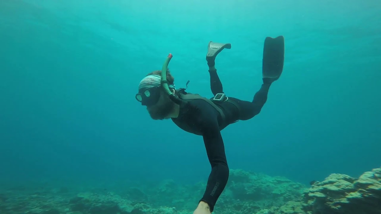 Mauna Lani underwater