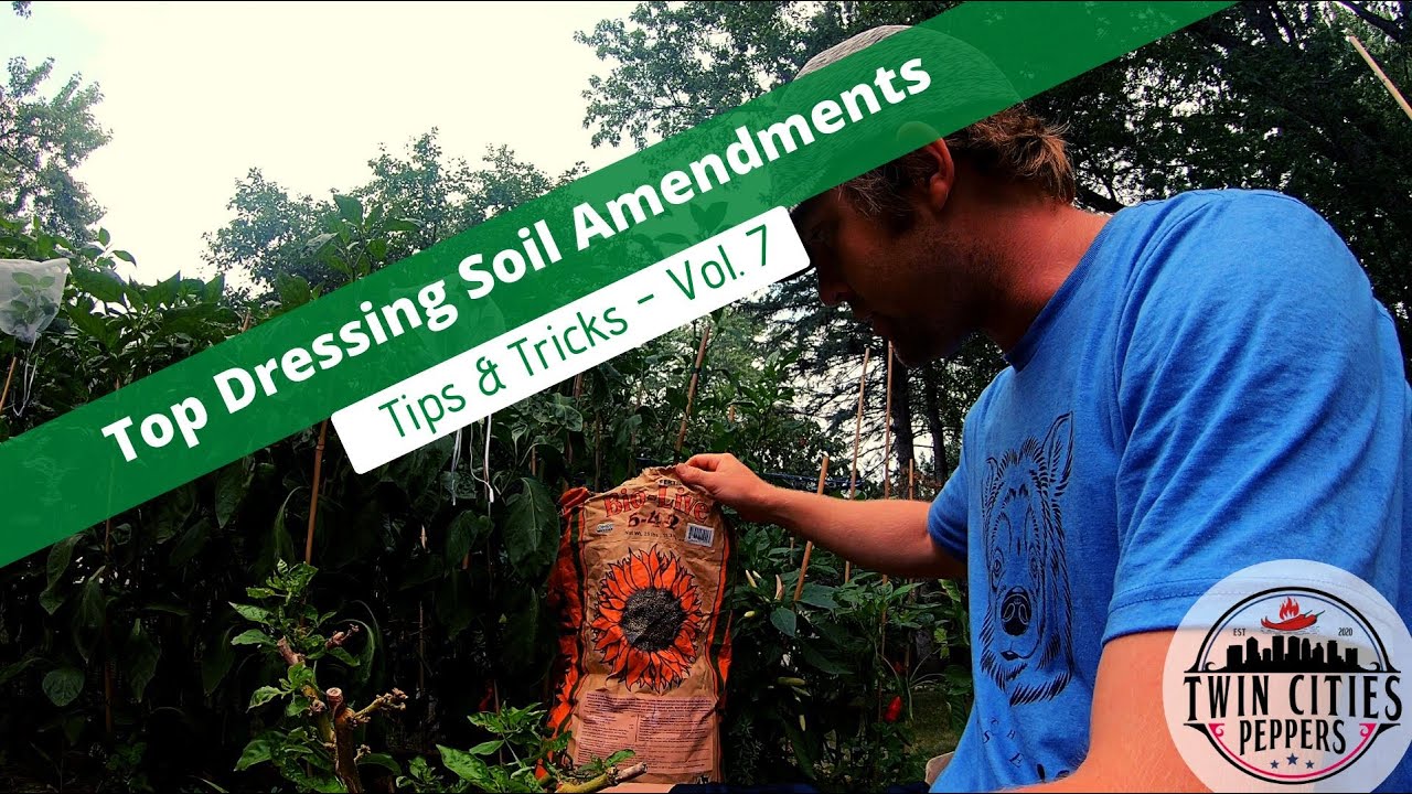 Tips and Tricks - Vol. 7 - Top Dressing Your Plants