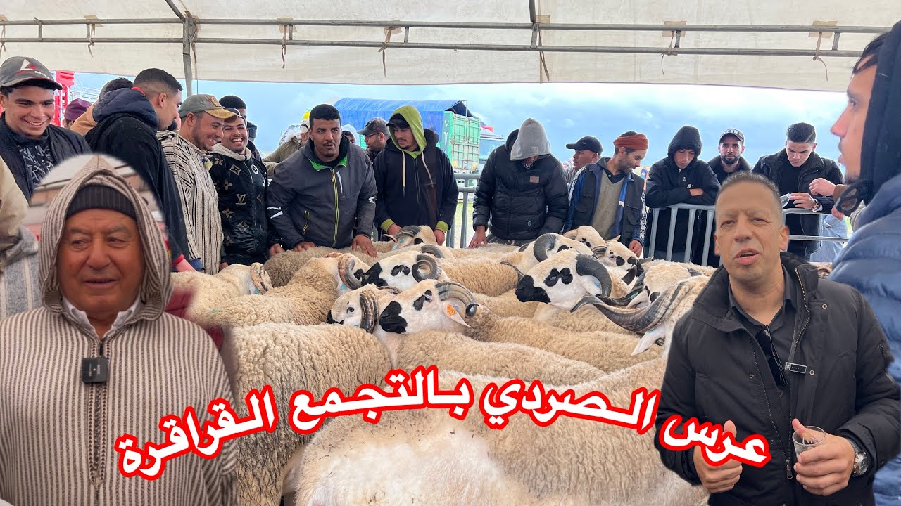 أكبر عرس الصردي اليوم من التجمع القراقرة مع حاج مصطفى خليل و فريد المزابي بتاريخ 6/2/2026
