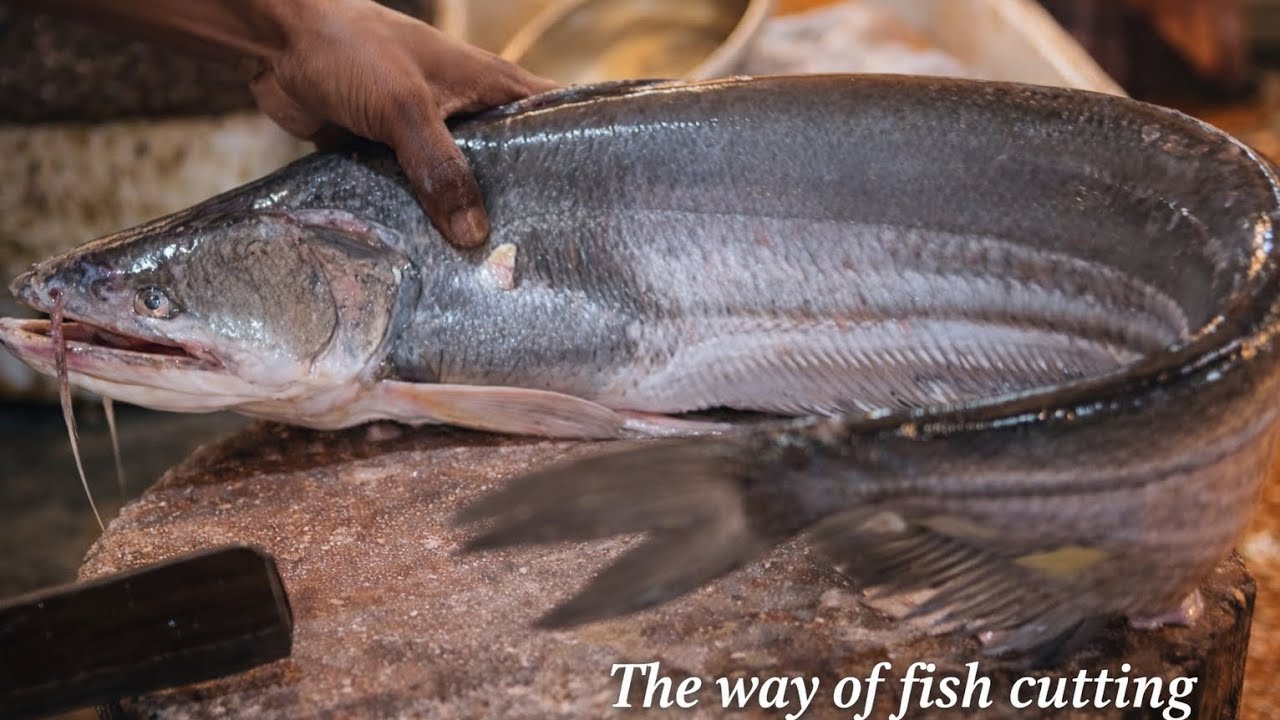 Professional Boal Fish Cutting Technique 🔪 | Ultra Sharp Knife ASMR