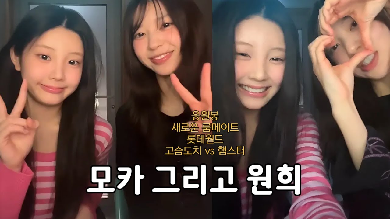 [아일릿] 고슴도치 모카와 기니피그 원희 (아일릿 라방)