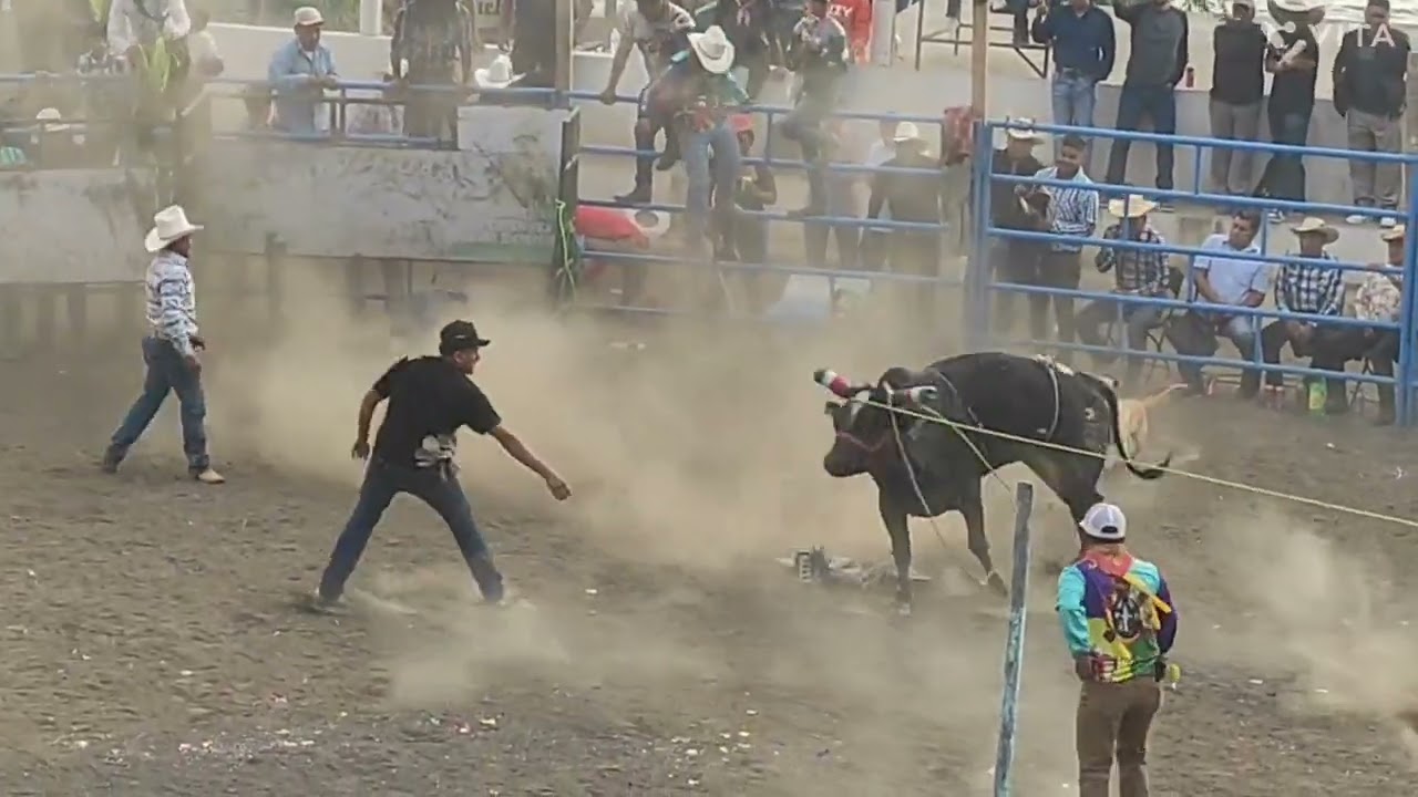 Primer día de carnaval barrio sur teb.2026