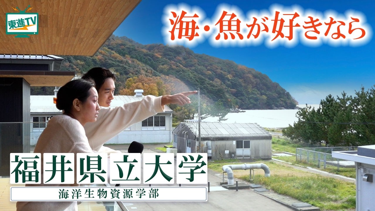 福井県立大学海洋生物資源学部｜実習場所は船！自然豊かなキャンパスで生態系×地球環境、魚×増養殖について学びませんか？#水産 #海洋 #魚