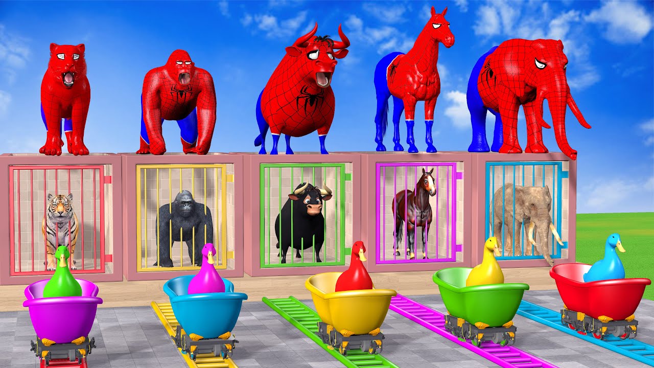 Long Slide Game With Cow Elephant Gorilla Hippopotamus Tiger - 3d Animal Game - Funny 3d Animals