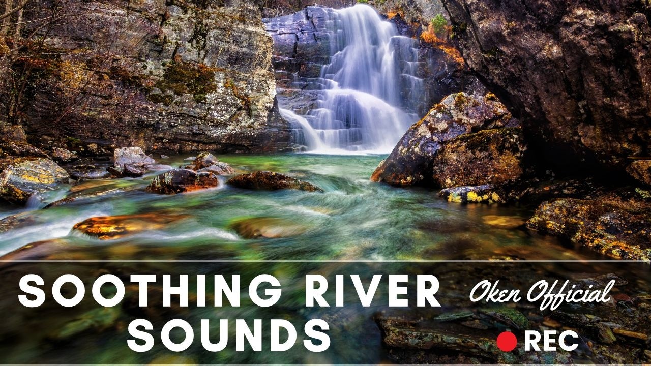 Tranquil Stream Sounds for Deep Relaxation | Soothing Water Flow for Stress Relief & Peaceful Sleep