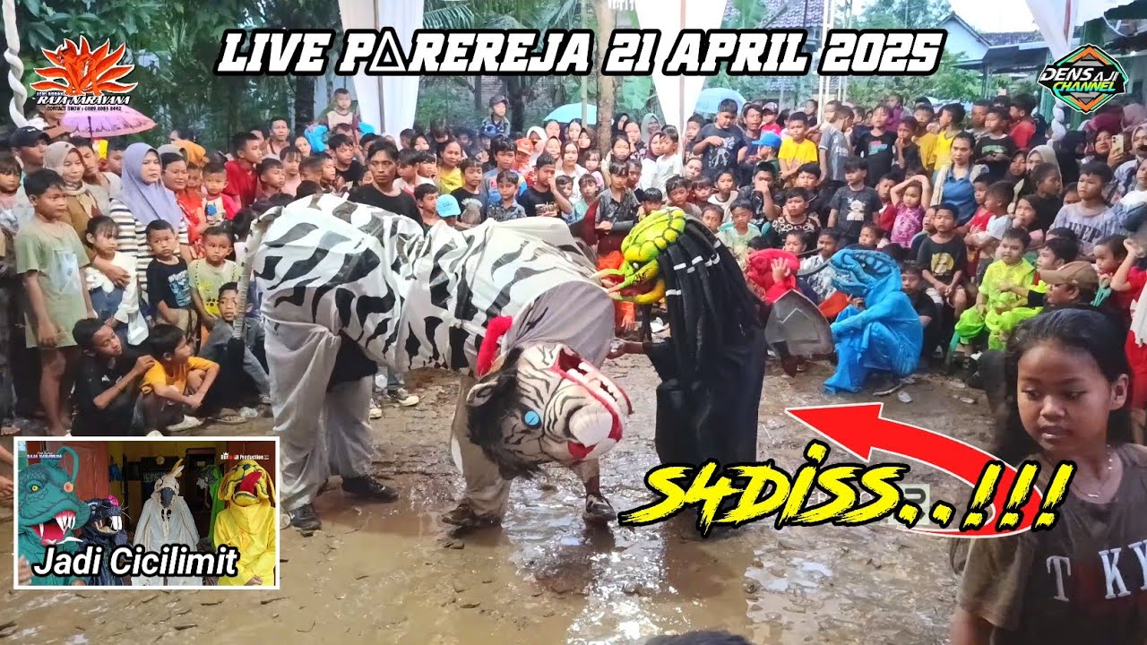 s4disas Macan Digorok Monster - Burok Raja Narayana Terbaru Live Desa Parereja 21 April 2025